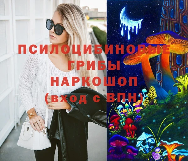не бодяженный Алексин