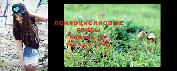 амф Семилуки