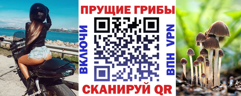 где можно купить наркотик  Георгиевск  МЕГА ТОР  Галлюциногенные грибы мухоморы 