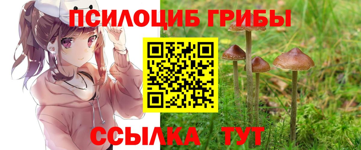 Галлюциногенные грибы Magic Shrooms Георгиевск