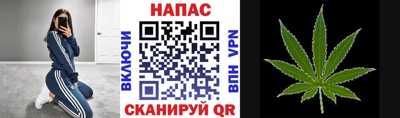 Бошки марихуана марихуана  Георгиевск 